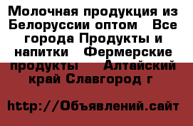 Молочная продукция из Белоруссии оптом - Все города Продукты и напитки » Фермерские продукты   . Алтайский край,Славгород г.